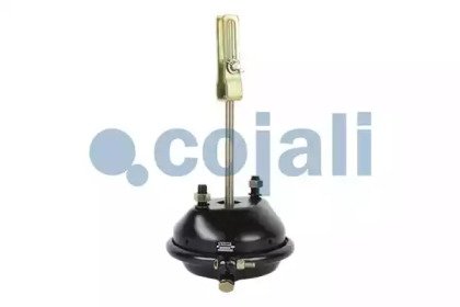 COJALI 2251112 COJALI 2251112