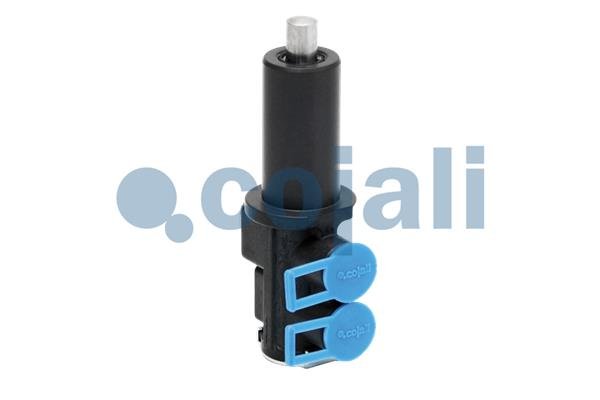 COJALI 2880121 COJALI 2880121