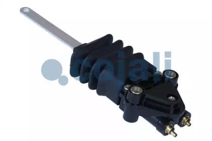 COJALI 2214510 COJALI 2214510