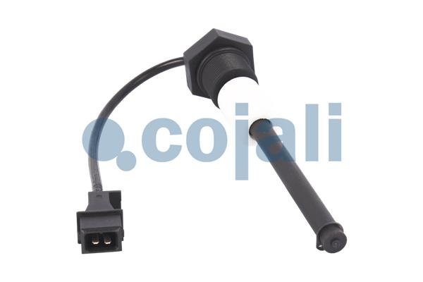 COJALI 2260486