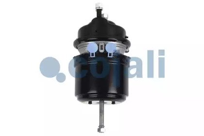 COJALI 2251513