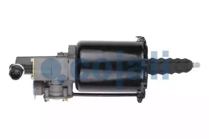 COJALI 2250298
