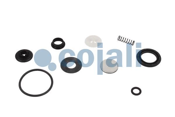 COJALI 6012256