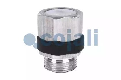 COJALI 2380159 COJALI 2380159