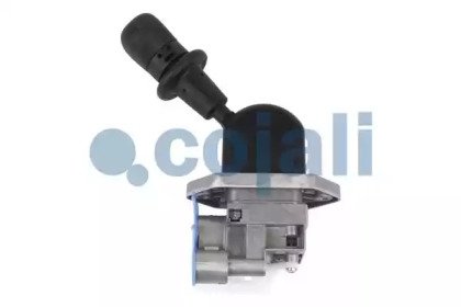 COJALI 2224571