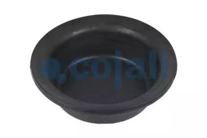 COJALI 6001113 COJALI 6001113