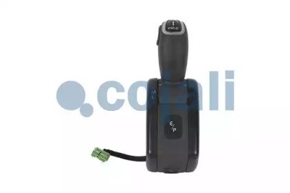 COJALI 350379 COJALI 350379