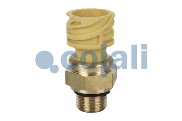 COJALI 2260284 COJALI 2260284
