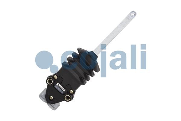 COJALI 2214513 COJALI 2214513