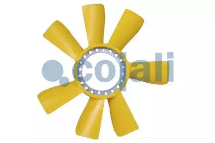 COJALI 8115613