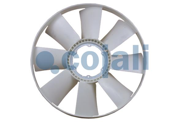 COJALI 7037114
