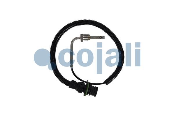 COJALI 2262004 COJALI 2262004