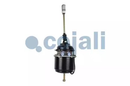 COJALI 2251401