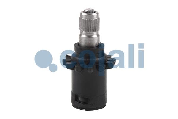 COJALI 6086036
