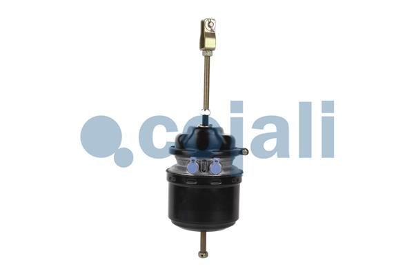 COJALI 2251550