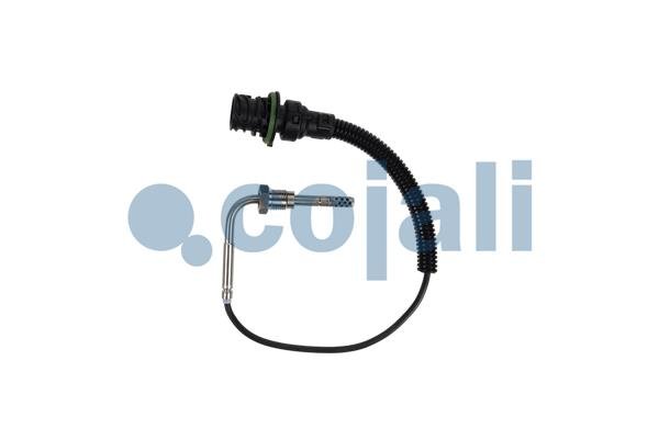COJALI 2260901 COJALI 2260901