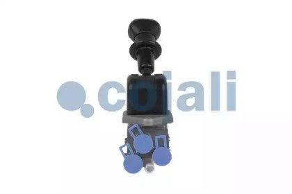 COJALI 2224515