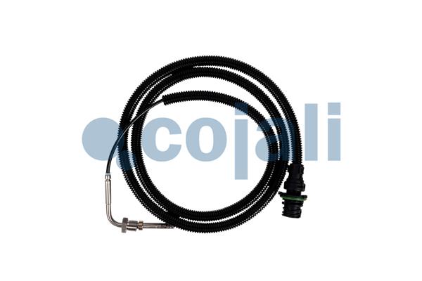 COJALI 2262003 COJALI 2262003