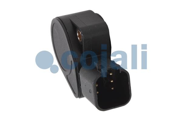 COJALI 2260371 COJALI 2260371