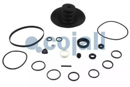 COJALI 6032108