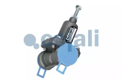 COJALI 2206167 COJALI 2206167
