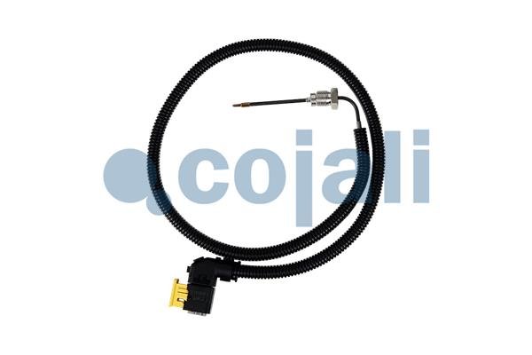 COJALI 2260883 COJALI 2260883