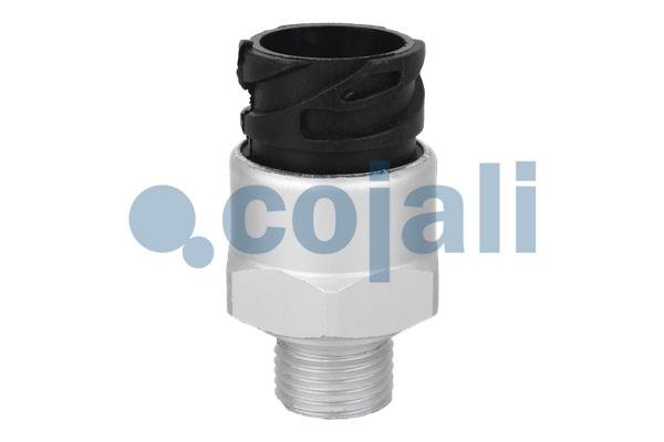 COJALI 2260093 COJALI 2260093