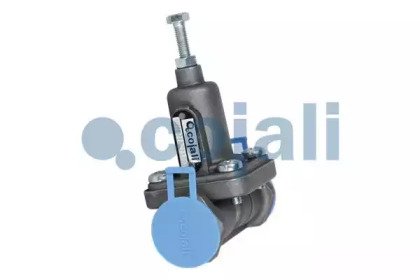 COJALI 2206156 COJALI 2206156