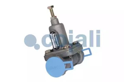 COJALI 2206169