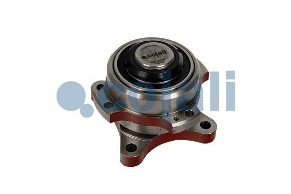 COJALI 7089001