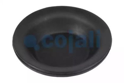 COJALI 6001100 COJALI 6001100