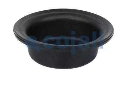 COJALI 6001109 COJALI 6001109