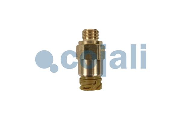 COJALI 2260987 COJALI 2260987