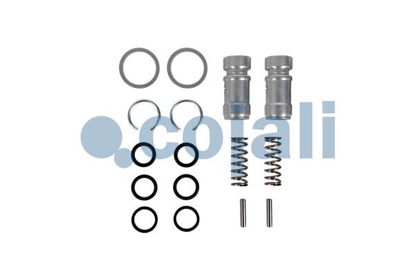 COJALI 25005035