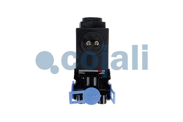 COJALI 2880294 COJALI 2880294