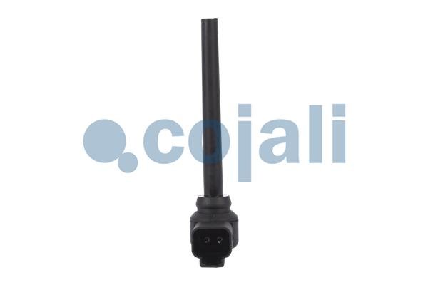 COJALI 2260319 COJALI 2260319