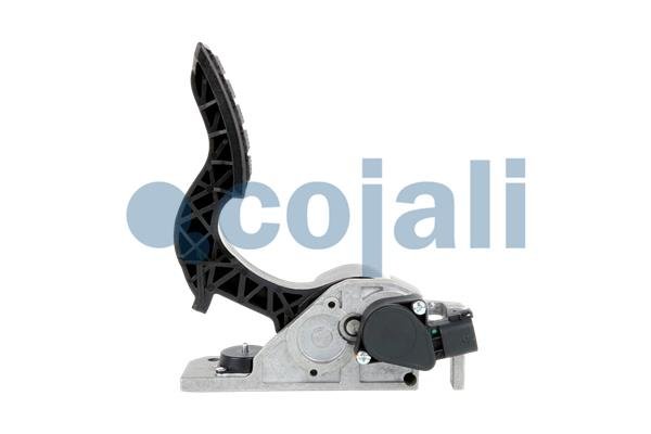 COJALI 2260503 COJALI 2260503