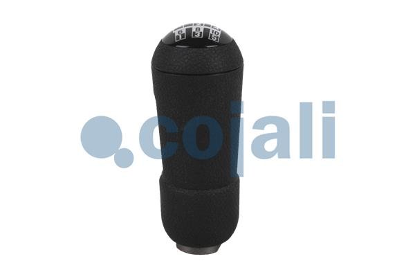 COJALI 2880173 COJALI 2880173