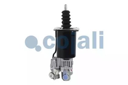 COJALI 2250203 COJALI 2250203