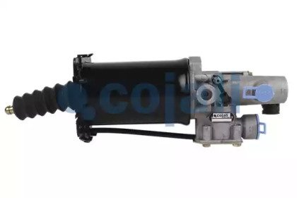 COJALI 2250251