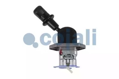 COJALI 2224518 COJALI 2224518