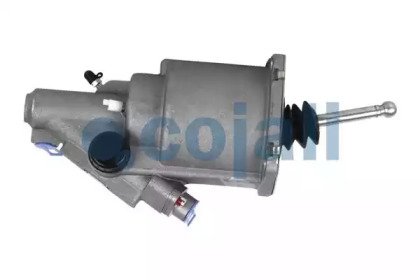 COJALI 2550900 COJALI 2550900