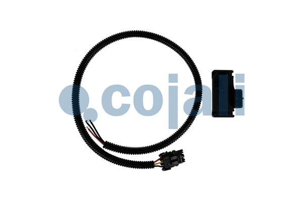 COJALI 2262053