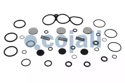 COJALI 6012198 COJALI 6012198