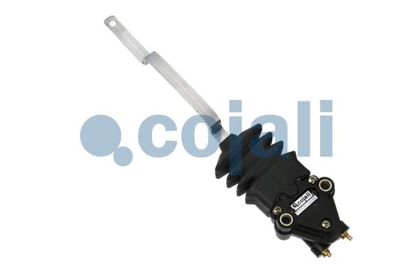 COJALI 2214506