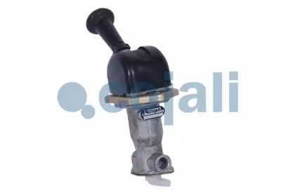 COJALI 2224406