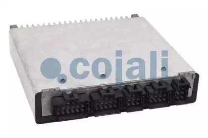 COJALI 352416 COJALI 352416