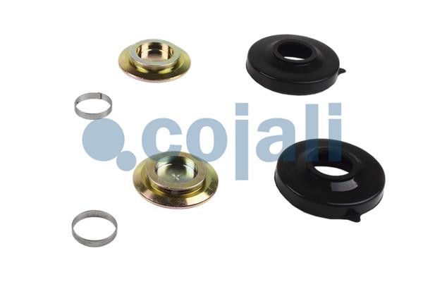 COJALI 6086038