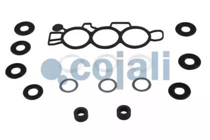 COJALI 6012218 COJALI 6012218