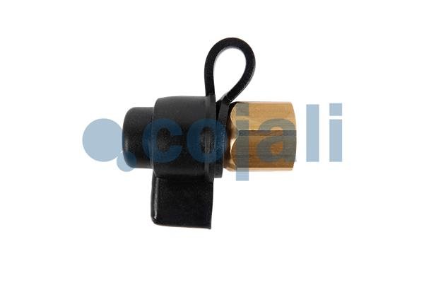 COJALI 6002304 COJALI 6002304